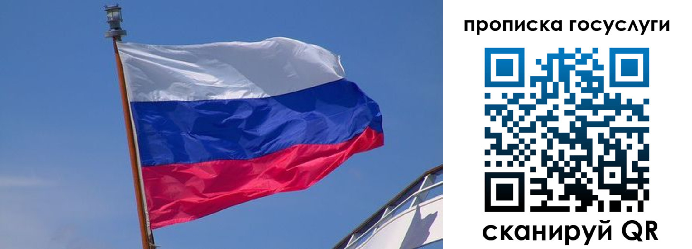 временная регистрация купить в Брянской области